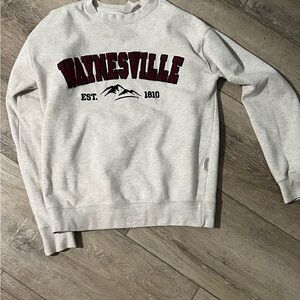 Waynesville Gray Crewneck Sweater